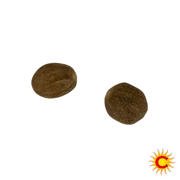 Erva Especial Noz Moscada - Casa do Cigano