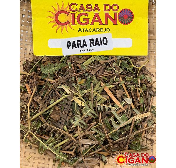 Erva Simples Para Raio - Casa do Cigano