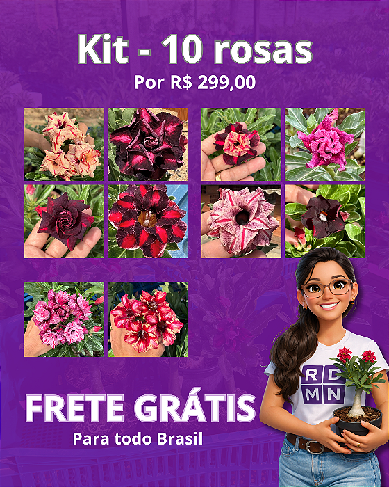 Kit - 10 Rosas Enxertadas