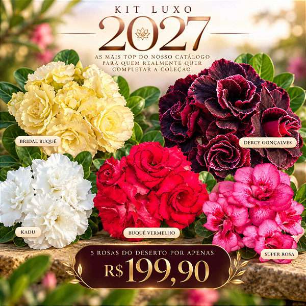 KIT LUXO 2027