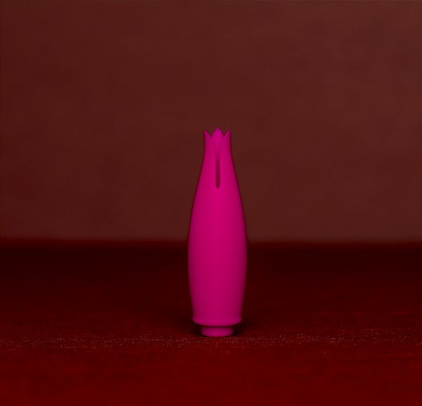 Vibrador de Clitóris - Bud 2x1