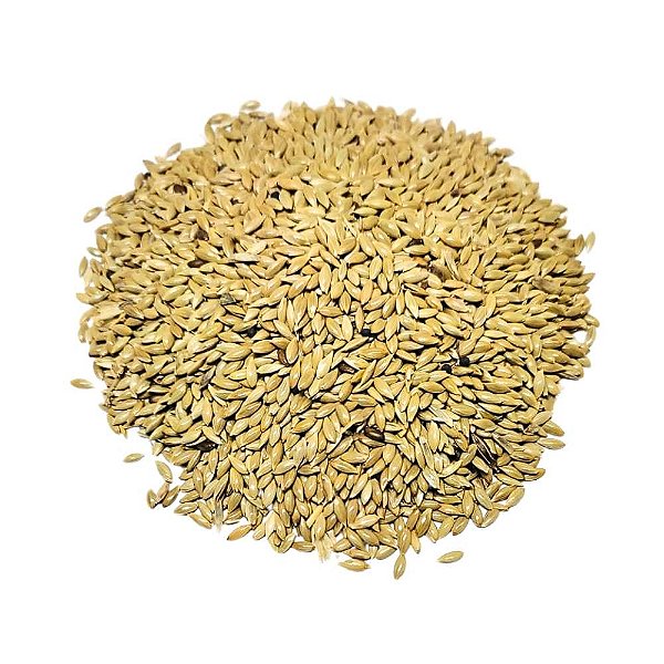 Alpiste Importado Extra Pacote 100Gr