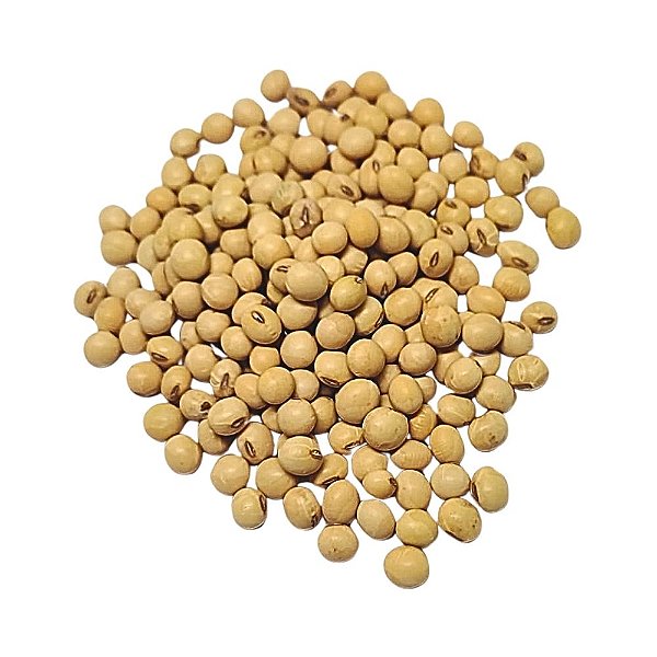 Soja Em Grão Não Transgênico Pacote 200Gr