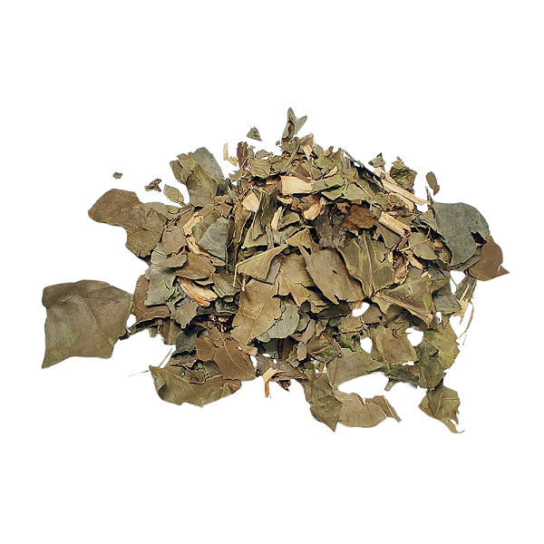 Banchá Chá Verde Folhas (Camellia Sinensis) Pacote 200g