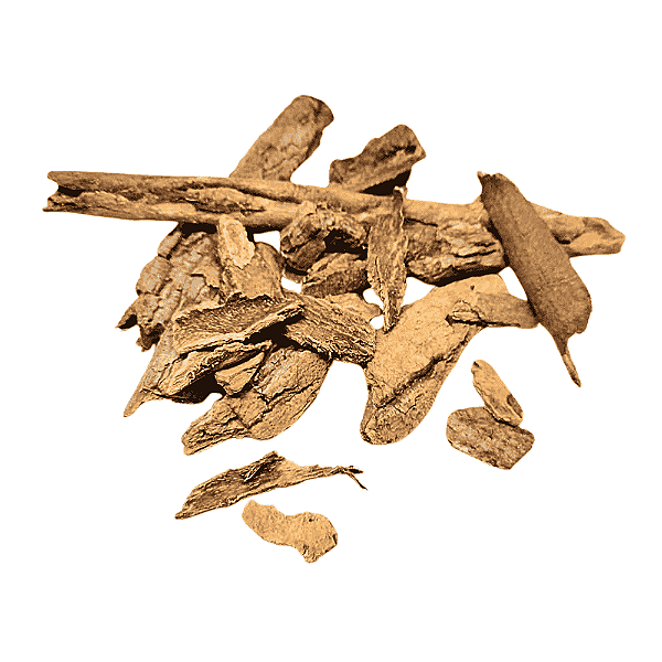 Casca Danta  (Drimys brasiliensis) Pacote 100g