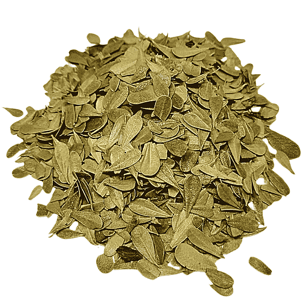 Uva Ursi Pacote 100g