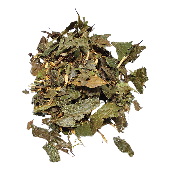 Guaçatonga (Casearia sylvestris) Pacote 200g