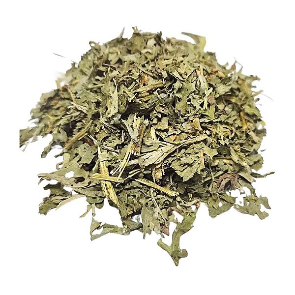 Losna (Artemisia absinthium L.) Pacote 500g
