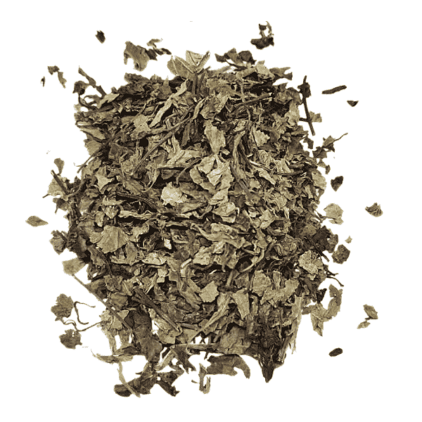 Java Em Folhas  (Orthosiphon aristatus) Pacote 500g