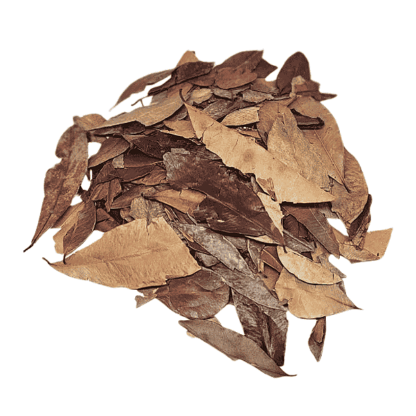 Pedra Ume Caá (Myrcia Sphaerocarpa) Pacote 500g