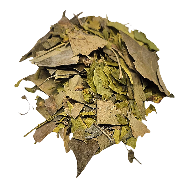 Folhas de Ginkgo Biloba (Ginkgo biloba) Pacote 100g