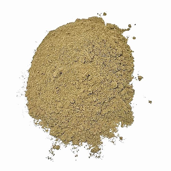 Ginkgo Biloba em Pó Puro Pacote 1Kg