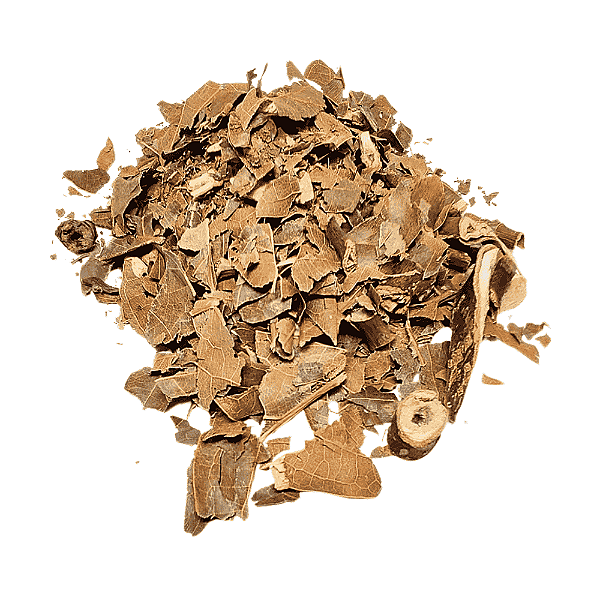 Abacateiro Folhas (Persea Americana Miller) Pacote 100g