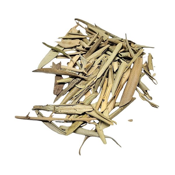 Folha De Oliveira (Olea europaea) Pacote 500g
