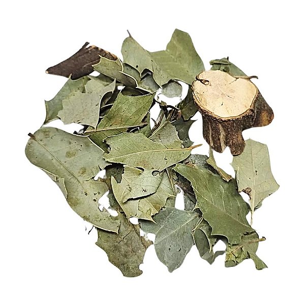 Espinheira Santa Verdadeira Pacote 1Kg