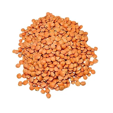 Lentilha Rosa Canadense Pacote 100g