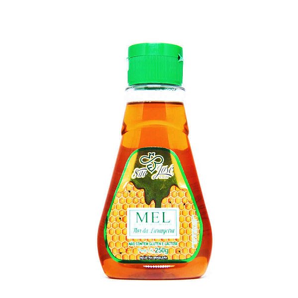 Mel Florada Laranjeira Bisnaga São José 250g