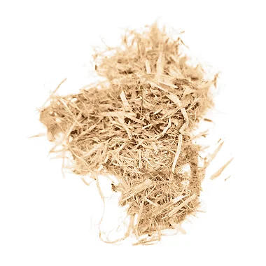 Algodoeiro (Gossypium herbaceum)  Pacote 200g