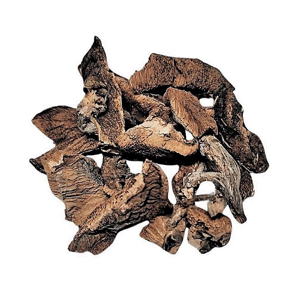 Funghi Desidratado  Pacote 500g