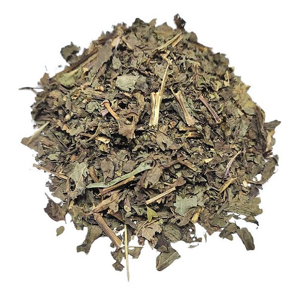 Levante (Mentha viridis) Pacote 100g