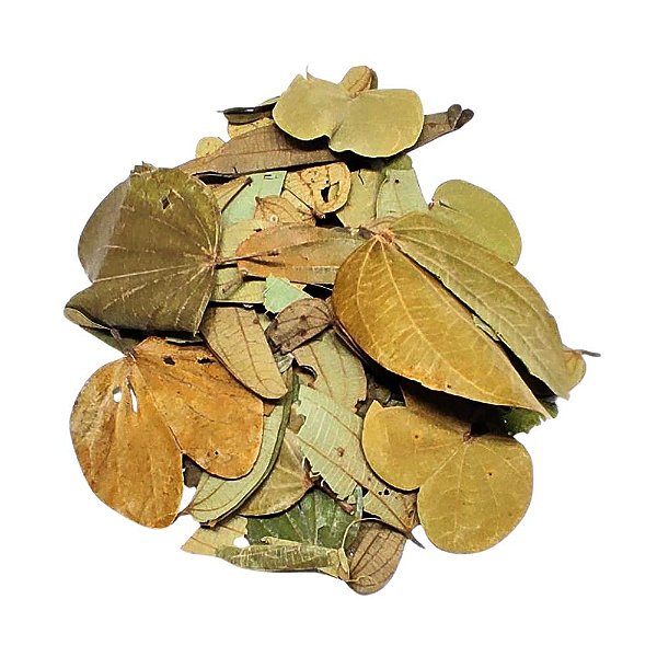 Pata De Vaca Do Nordeste (Bauhinia rufa) Pacote 100g