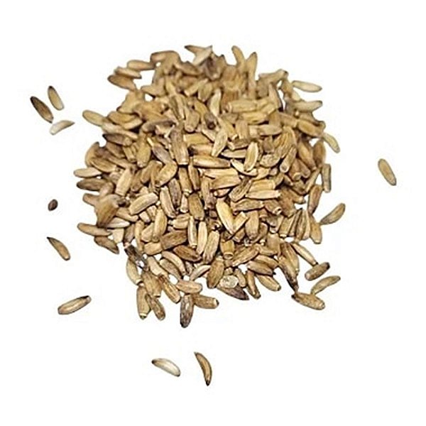 Cardo Mariano Em Semente Pacote 100g