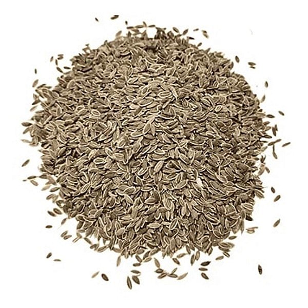 Endro em Semente Pacote 100g