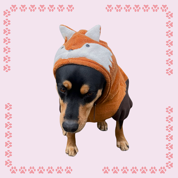 Kigurumi Pet - Raposinha