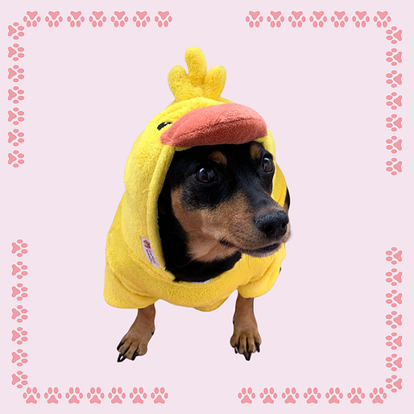 Kigurumi Pet - Patinho