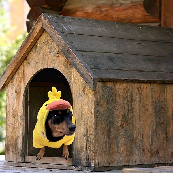 Kigurumi Pet - Patinho