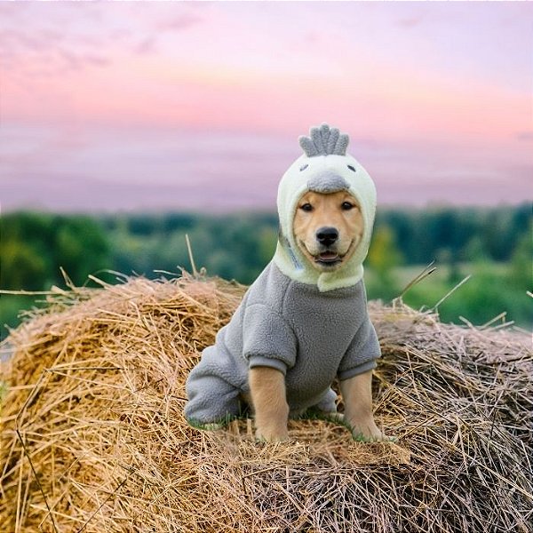 Kigurumi Pet - Calopsita