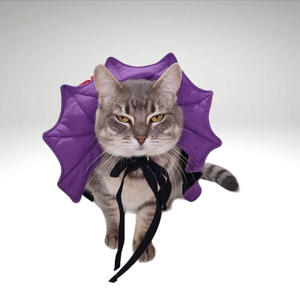 Kigurumi Pet - Capa Vampiro Roxa