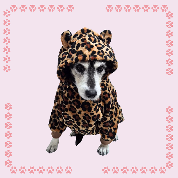 Kigurumi Pet - Oncinha