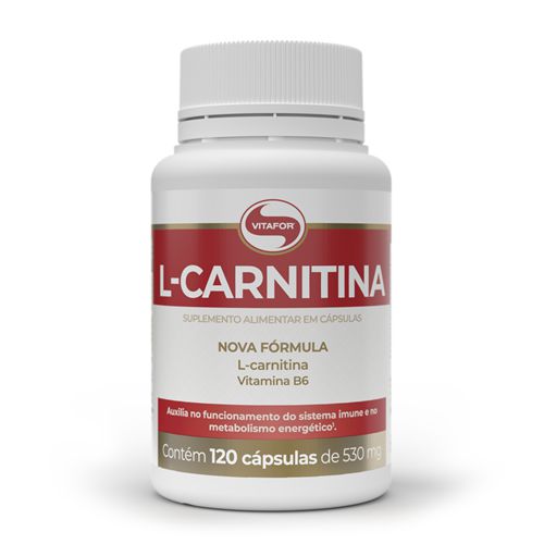L-Carnitina com 120 Cap de 530mg