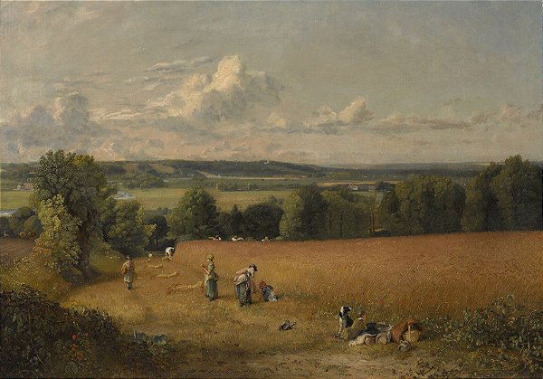 O campo de trigo