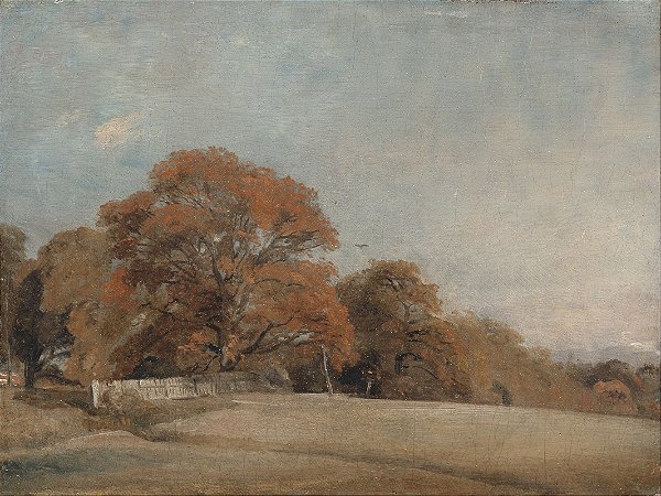 Paisagem outonal