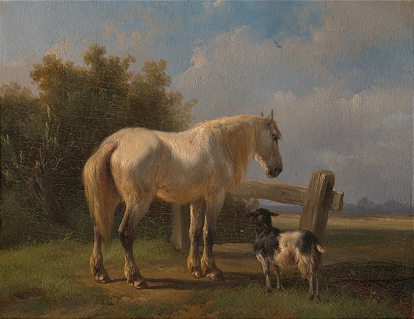 Cavalo no campo