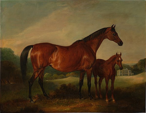 Cavalos com forte ao fundo