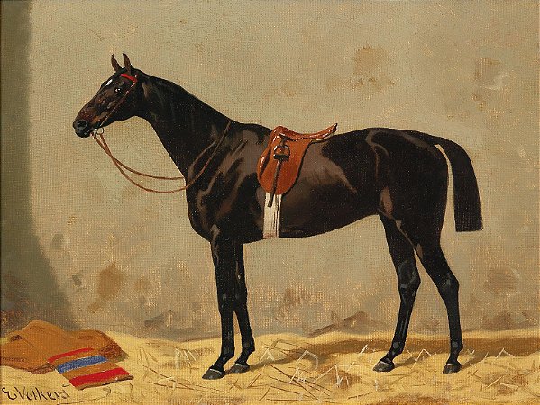 Cavalo preto no estábulo