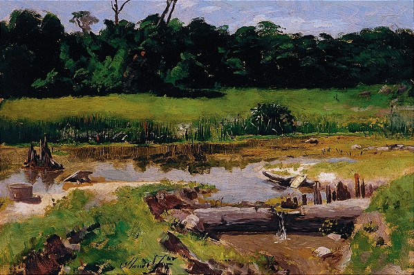 Paisagem fluvial