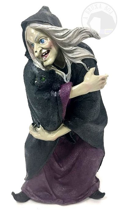 Bruxa Isadora e o Gato Salém