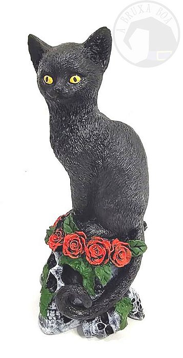Gatinho Preto no Crânio