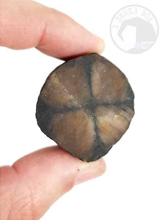 Pedra da Cruz Bruta (Unidade)