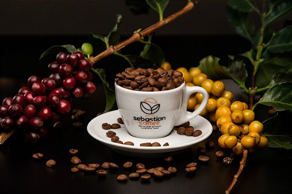 Sebastian Coffee em Grãos Variedade Catuaí Amarelo 250g - Notas de Frutas, Maracujá