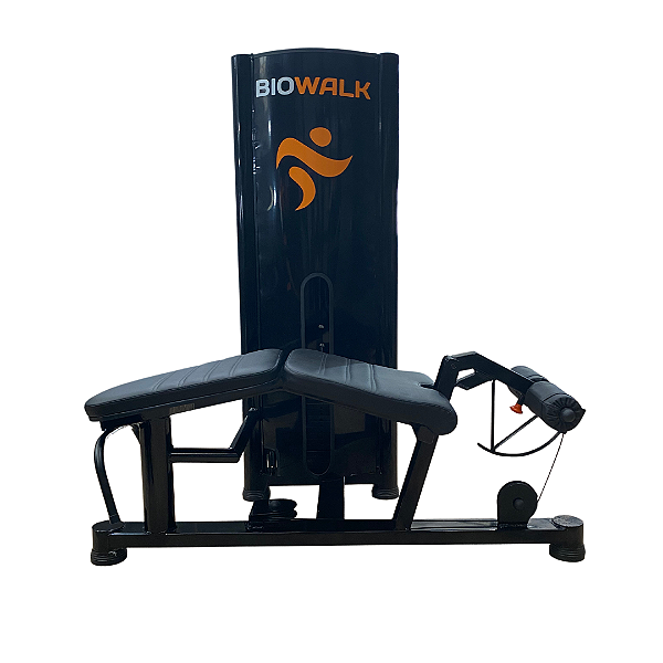 Mesa flexora
