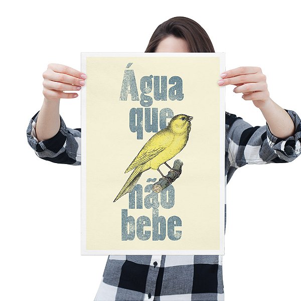 Água Que Passarinho Não Bebe  - Poster