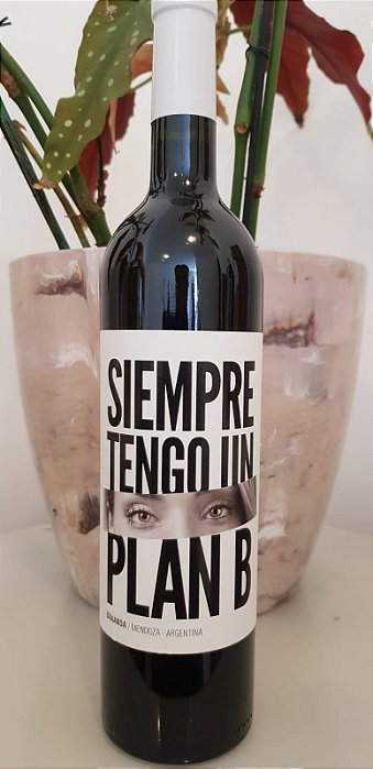 Vinho Tinto Argentino Siempre Tengo Un Plan B Bonarda 750ml