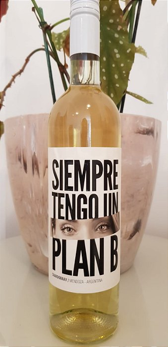 Vinho Branco Argentino Siempre Tengo Un Plan B White Blend 750ml