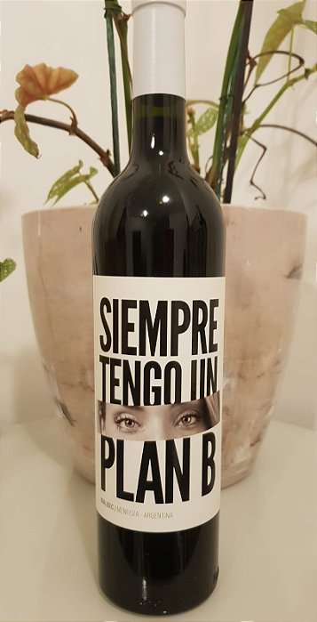 Vinho Tinto Argentino Siempre Tengo Un Plan B Malbec 750ml