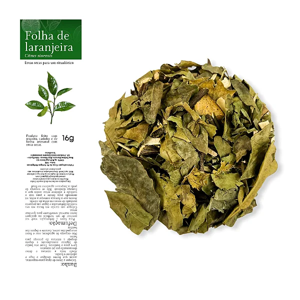 Folha de Laranjeira